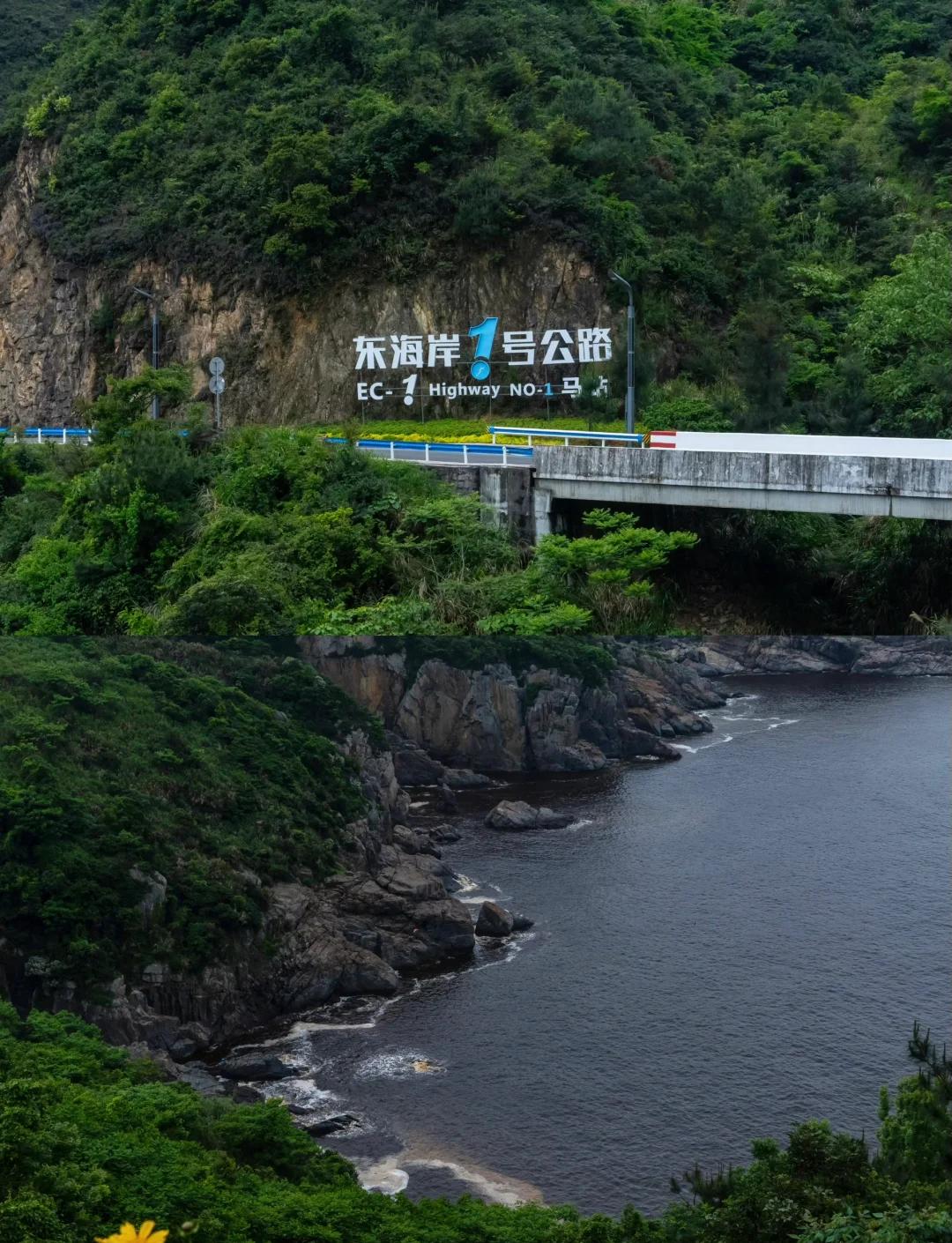 苍南海钓场(苍南哪里有海)