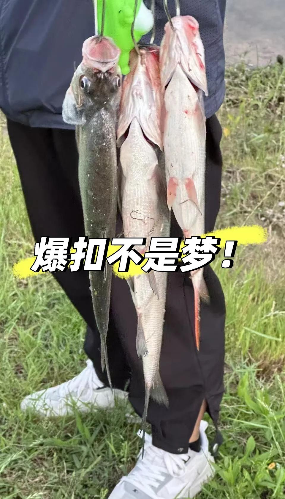 6月路亚翘嘴技巧(五六月份路亚翘嘴什么时间最好)