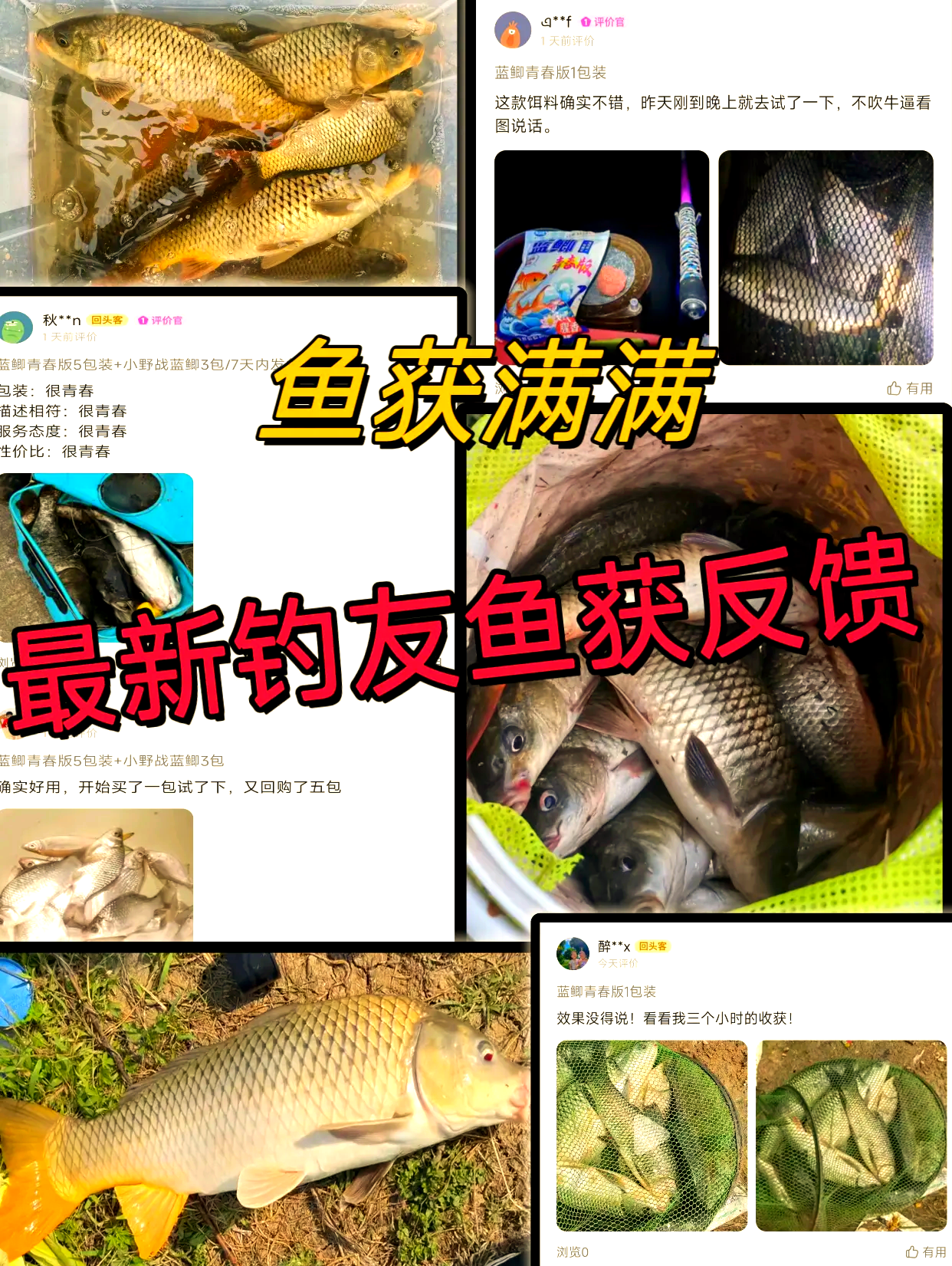 富春江钓鱼饵料技巧(富春江钓点)