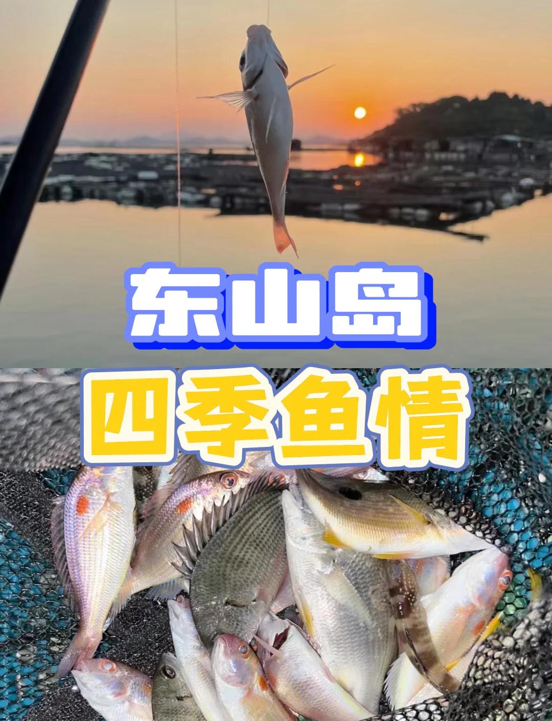小桂海钓攻略文章(小桂钓鱼)
