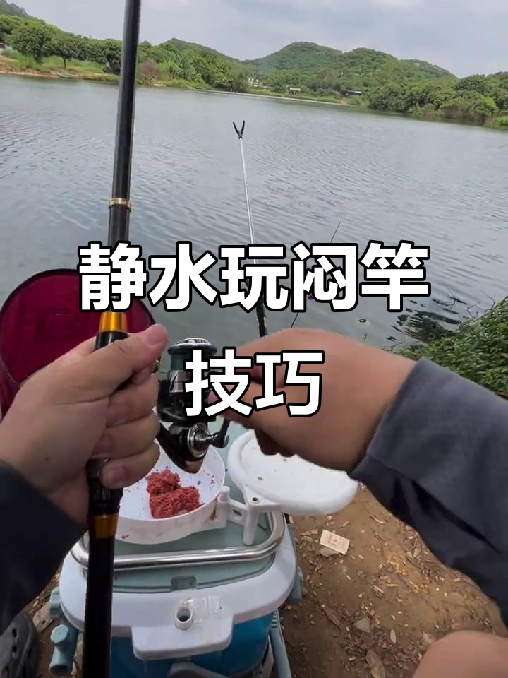 水库野钓钓鱼技巧(水库野钓钓鱼技巧图解)