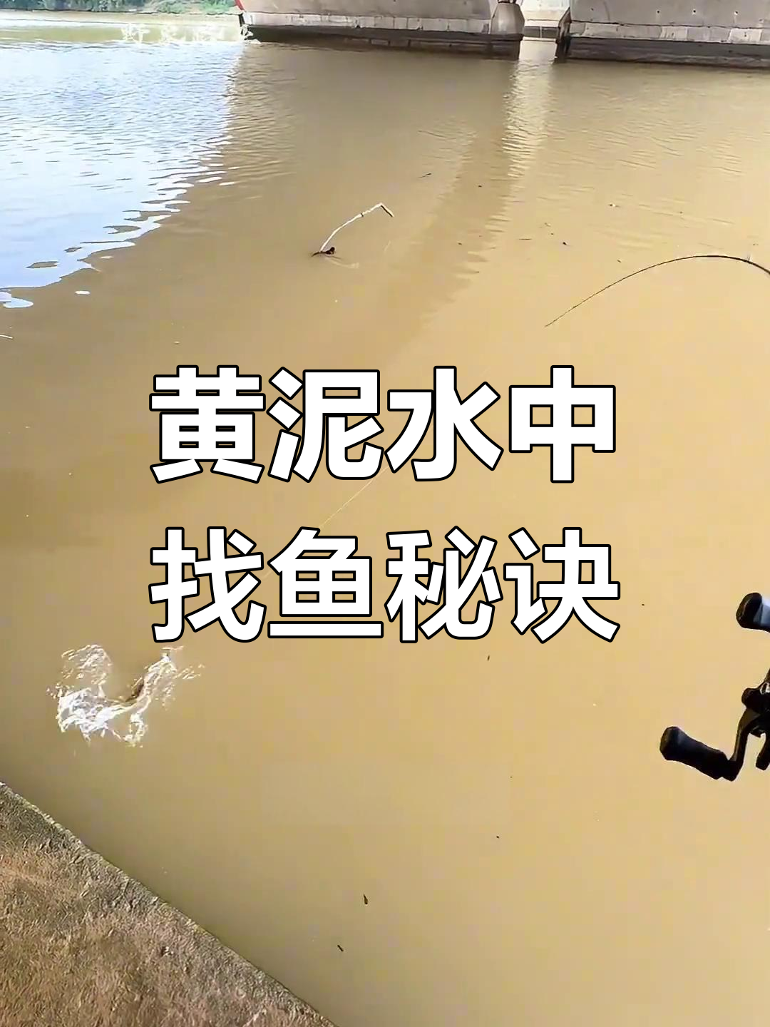 铅头钩路亚翘嘴技巧(铅头钩路亚钓鱼视频)