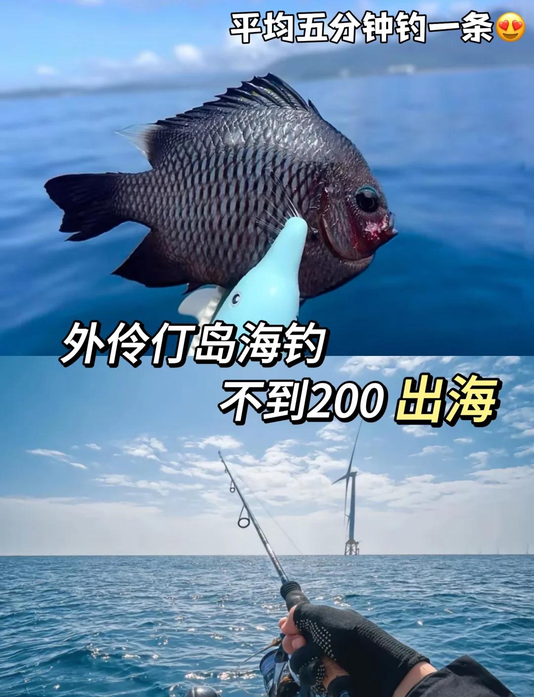 下雨影响海钓吗(下雨天可以海钓鱼吗)