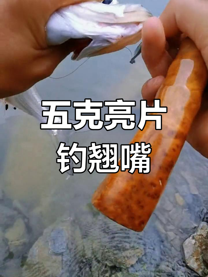 路亚手法技巧视频亮片(路亚亮片教程)