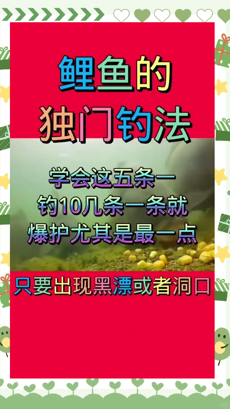 回水湾钓鲤鱼技巧(回水湾钓点示意图)