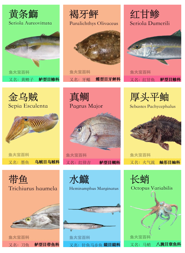 海钓什么时候上鱼(海钓啥时候才上鱼多?)