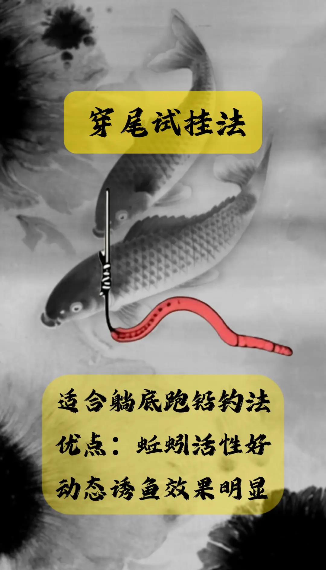 蚯蚓钓鲫鱼的技巧视频(蚯蚓钓鲫鱼绝密技巧)