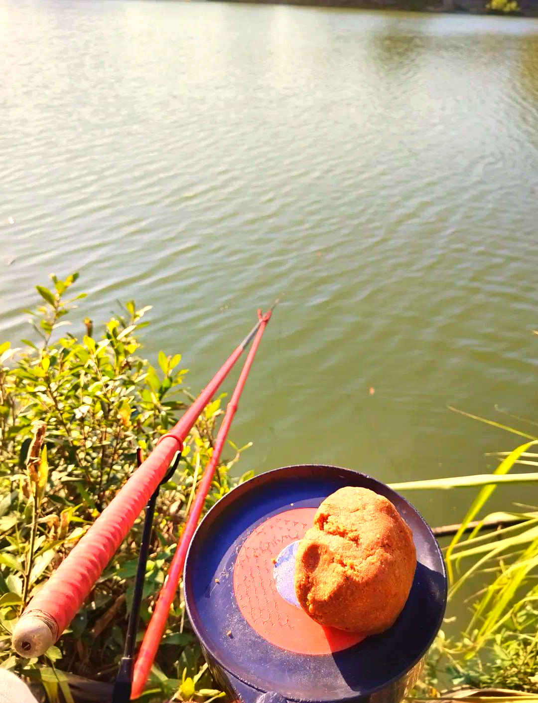 蚯蚓钓鲫鱼的技巧视频(蚯蚓钓鲫鱼绝密技巧)