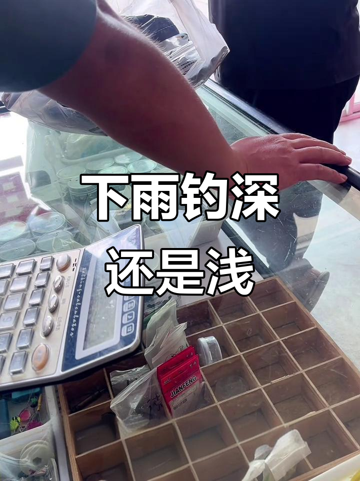 中雨天钓鱼技巧(中雨天钓鱼技巧和方法)