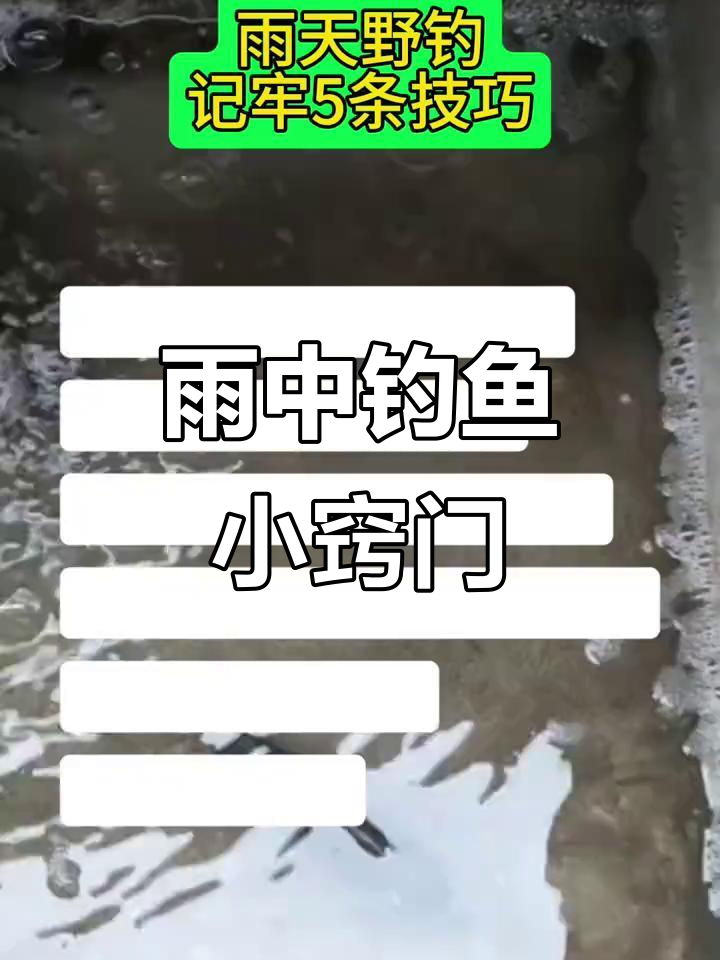 中雨天钓鱼技巧(中雨天钓鱼技巧和方法)