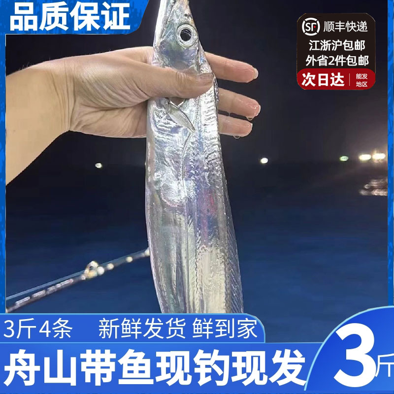 海钓的鱼怎么急冻(海钓的鱼怎么急冻保存)