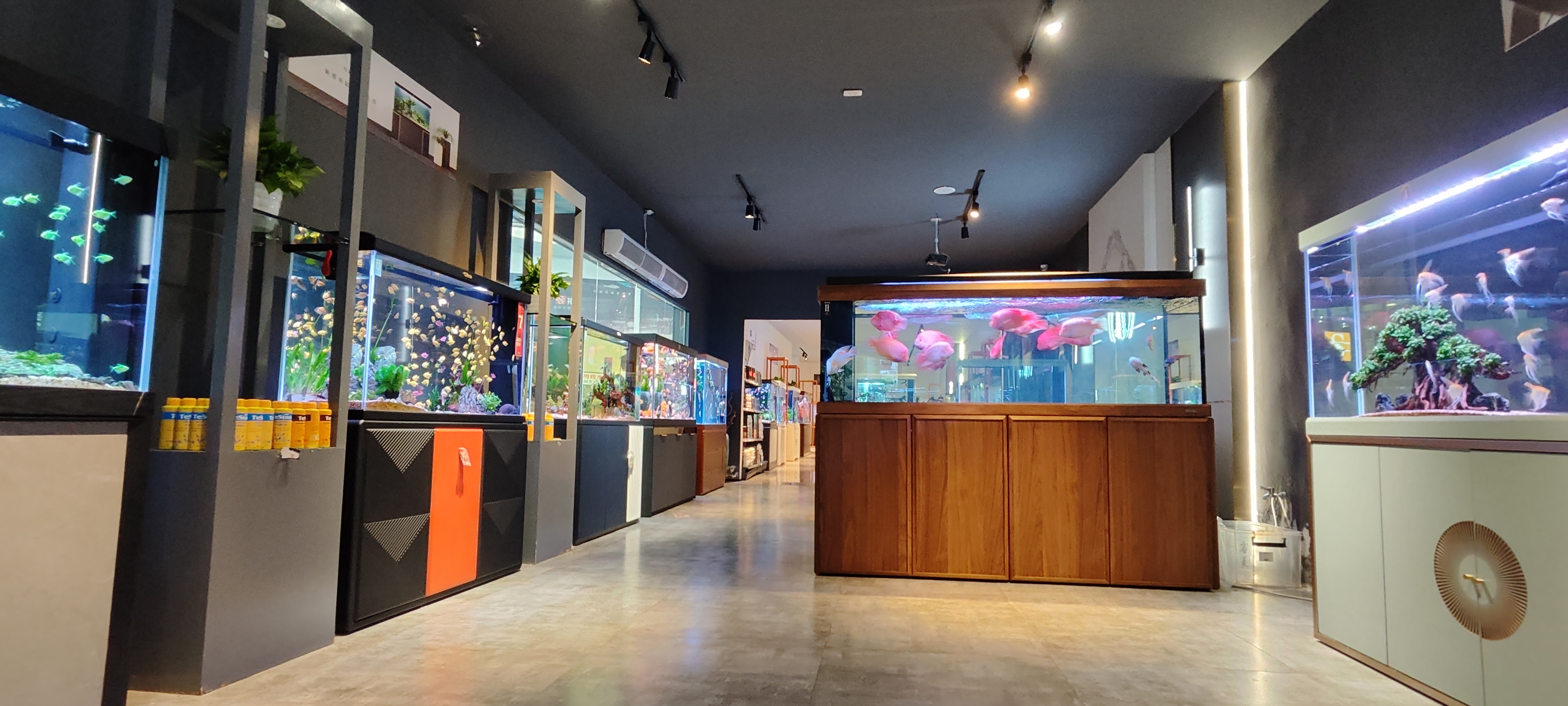 重庆渔具店排名(重庆渔具店批发城在哪里)