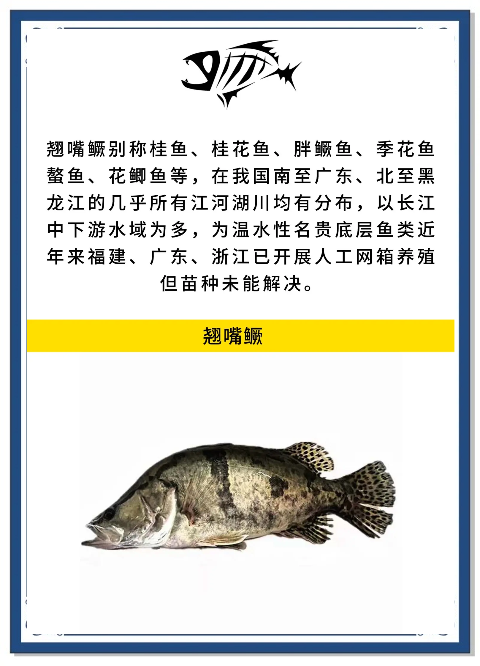 钓熬花鱼技巧(钓熬花鱼技巧和方法)