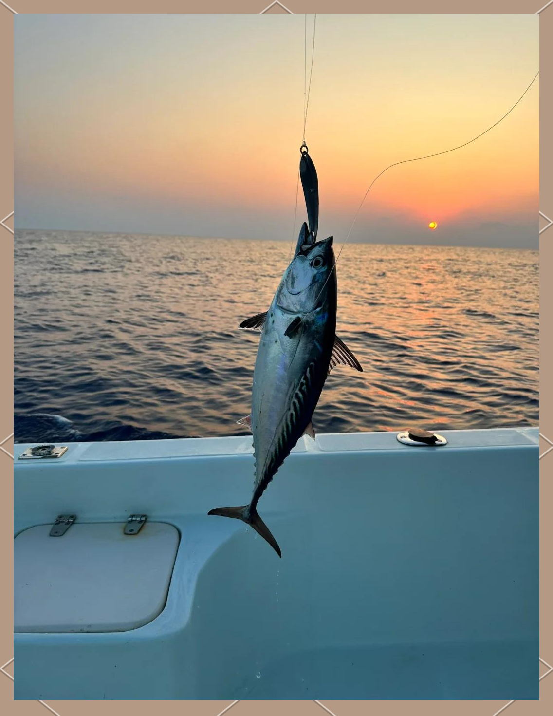 海钓适合夜钓(海钓夜钓用什么饵料)