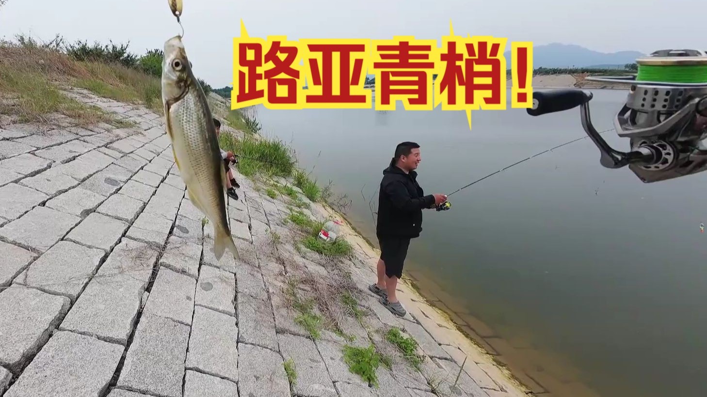 早春路亚马口技巧(路亚马口用什么钩)