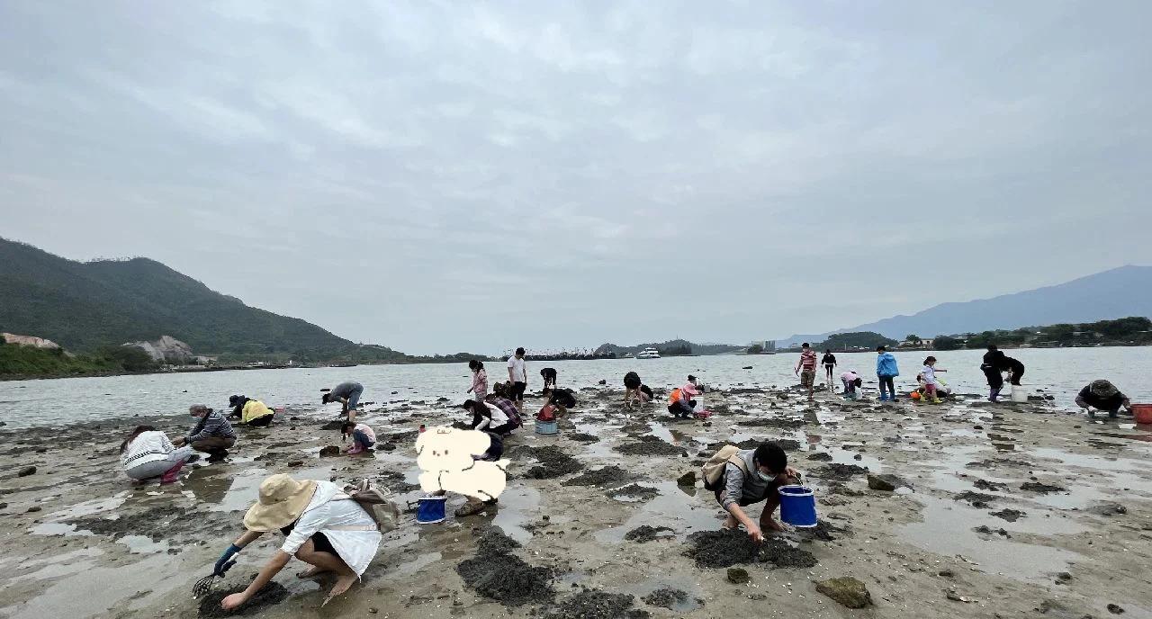 大亚湾海钓地方推荐(大亚湾出海钓鱼)