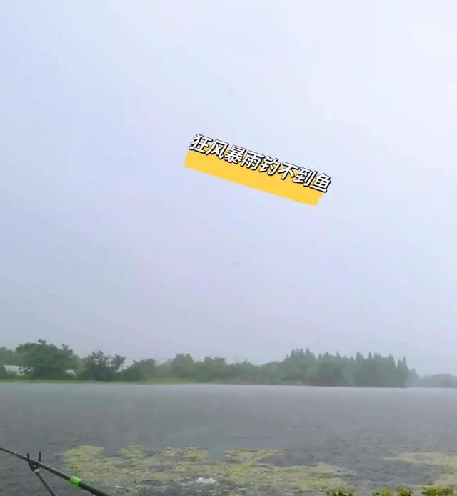 初秋雷雨天钓鱼技巧(初秋下雨天钓鱼技巧)