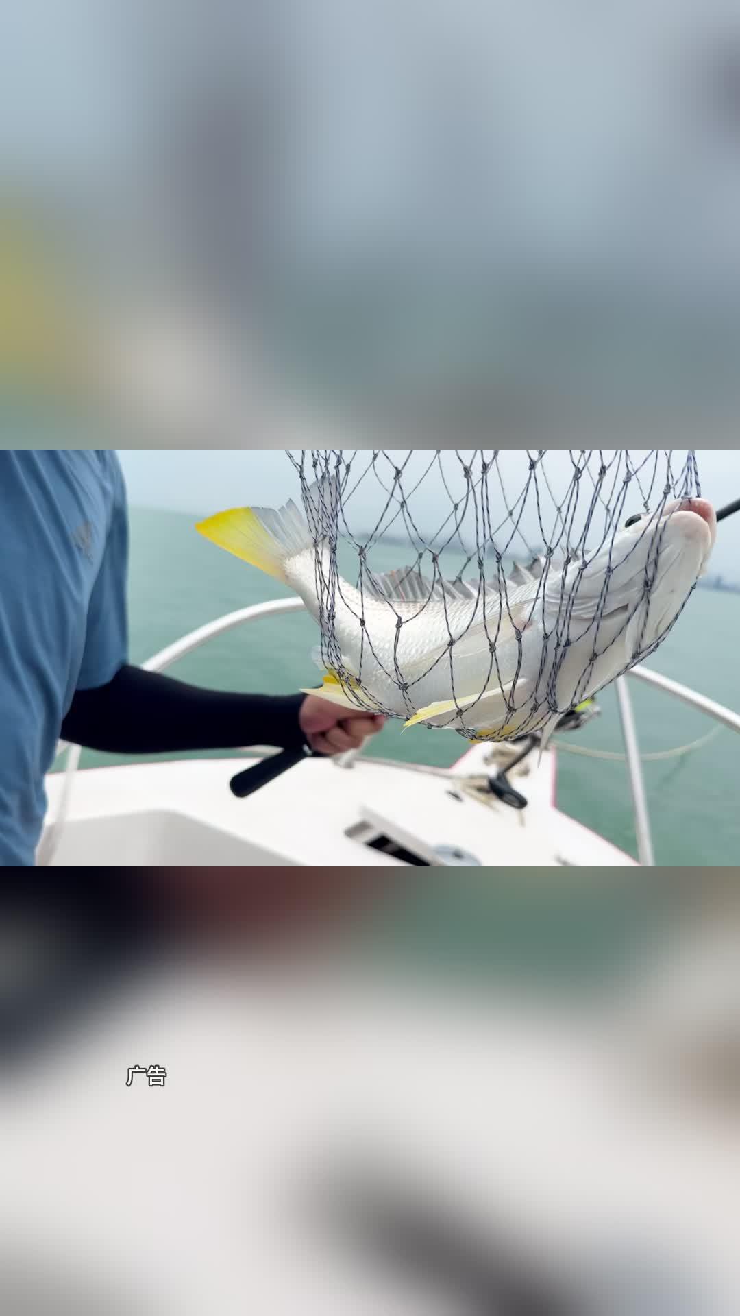 中国海钓比赛视频(中国海钓大赛)