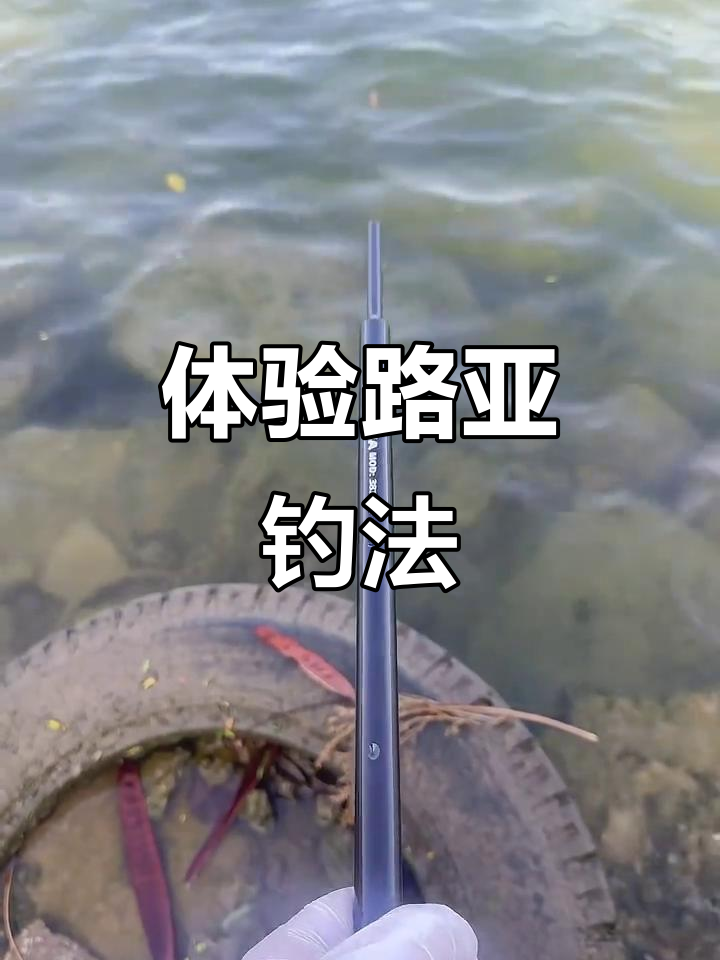下沙路亚(路亚竿十大排行榜)