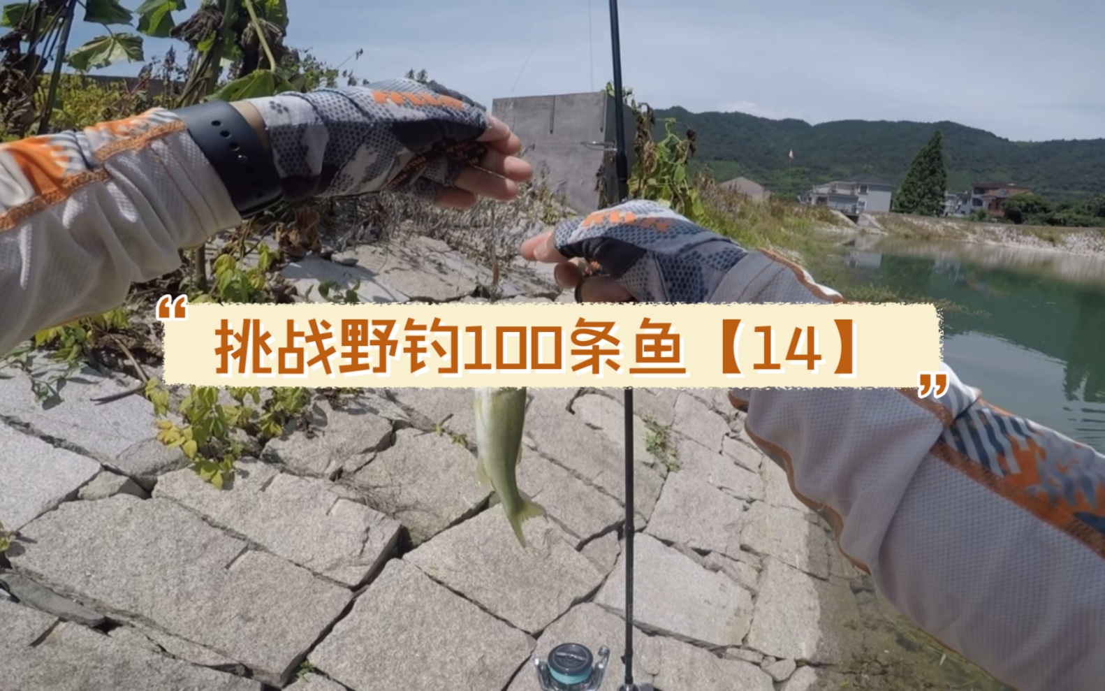 路亚天气软件(路亚选什么天气出钓)