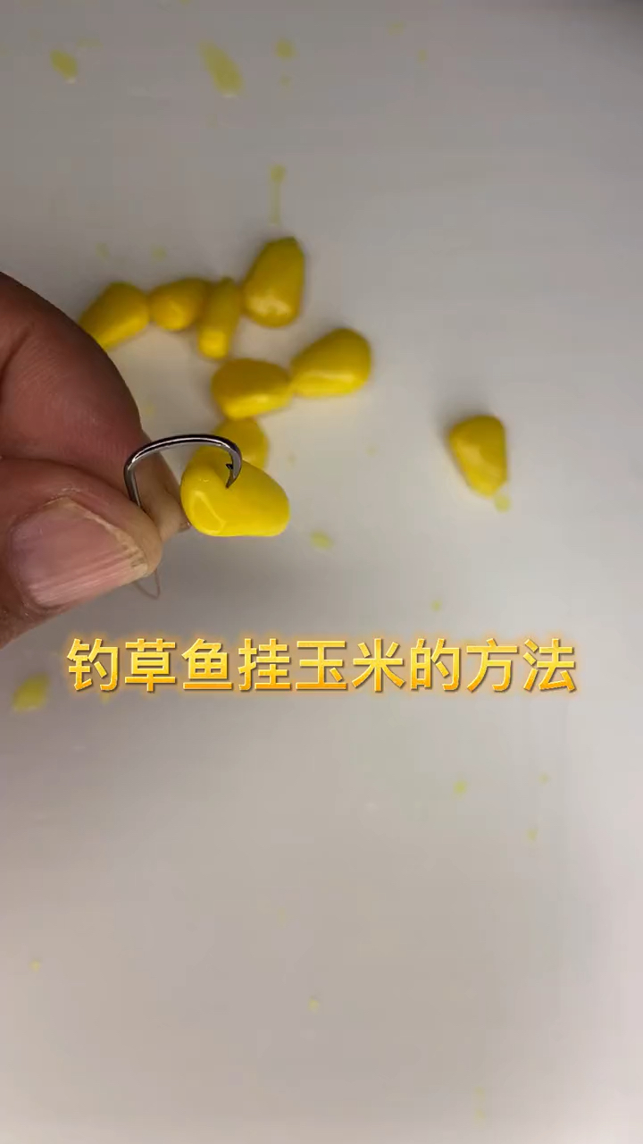 香蕉玉米钓鱼技巧(玉米香蕉红糖钓什么鱼)