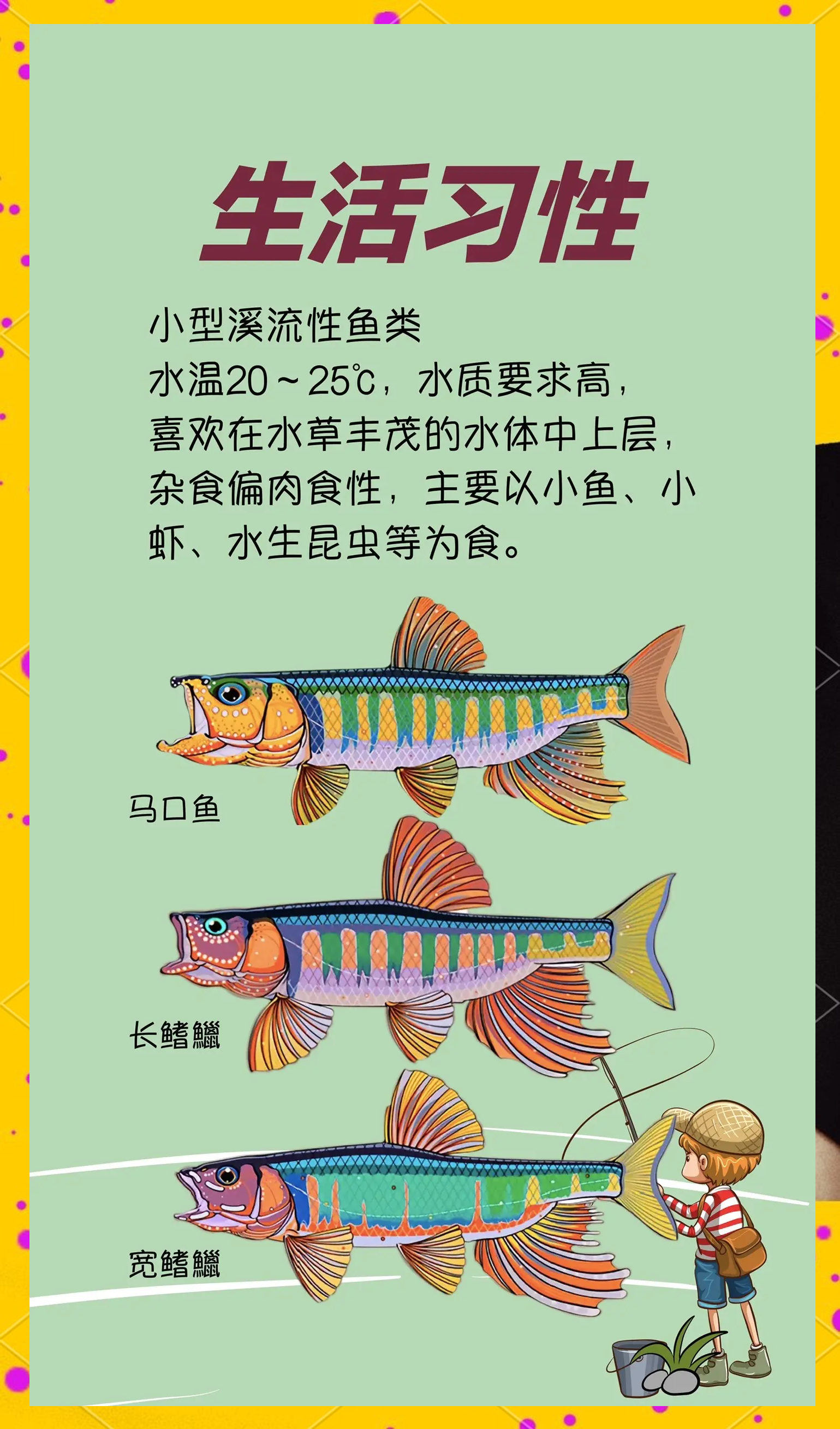 小溪里面钓鱼技巧(小溪里面钓鱼技巧视频)