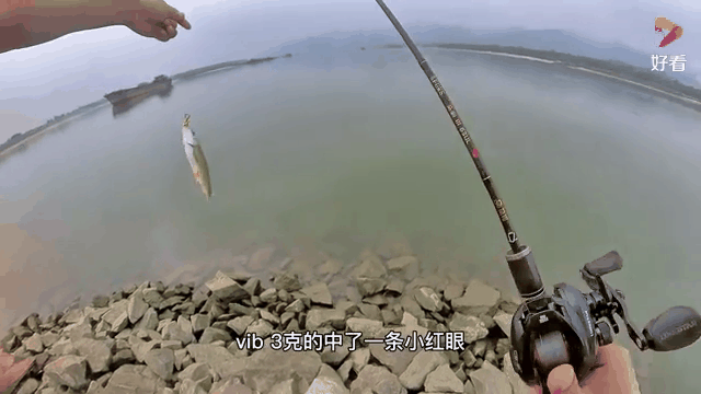 vib路亚(vib路亚饵品牌推荐)