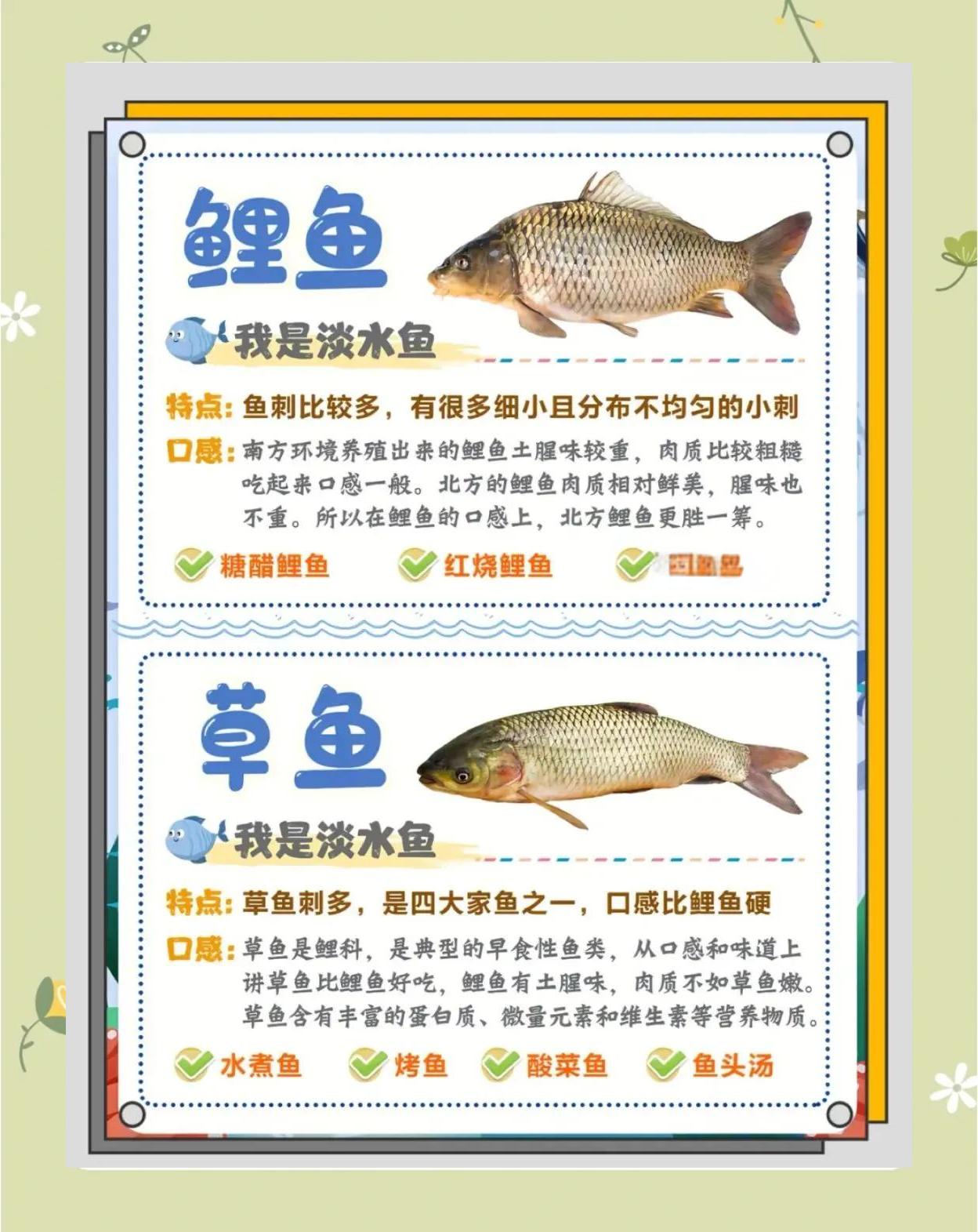 活鱼批发技巧(活鱼批发从哪里进货)