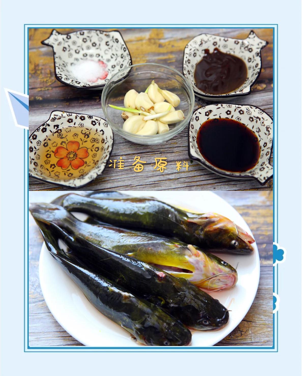 钓黄颡鱼的七大技巧(钓黄颡鱼用什么饵最好)