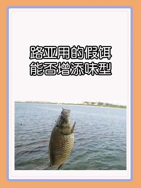 冬天黑坑锚鱼技巧(黑坑怎样锚鱼)