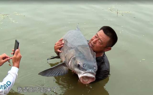 李大毛东莞海钓场(游钓中国李大毛最新视频)