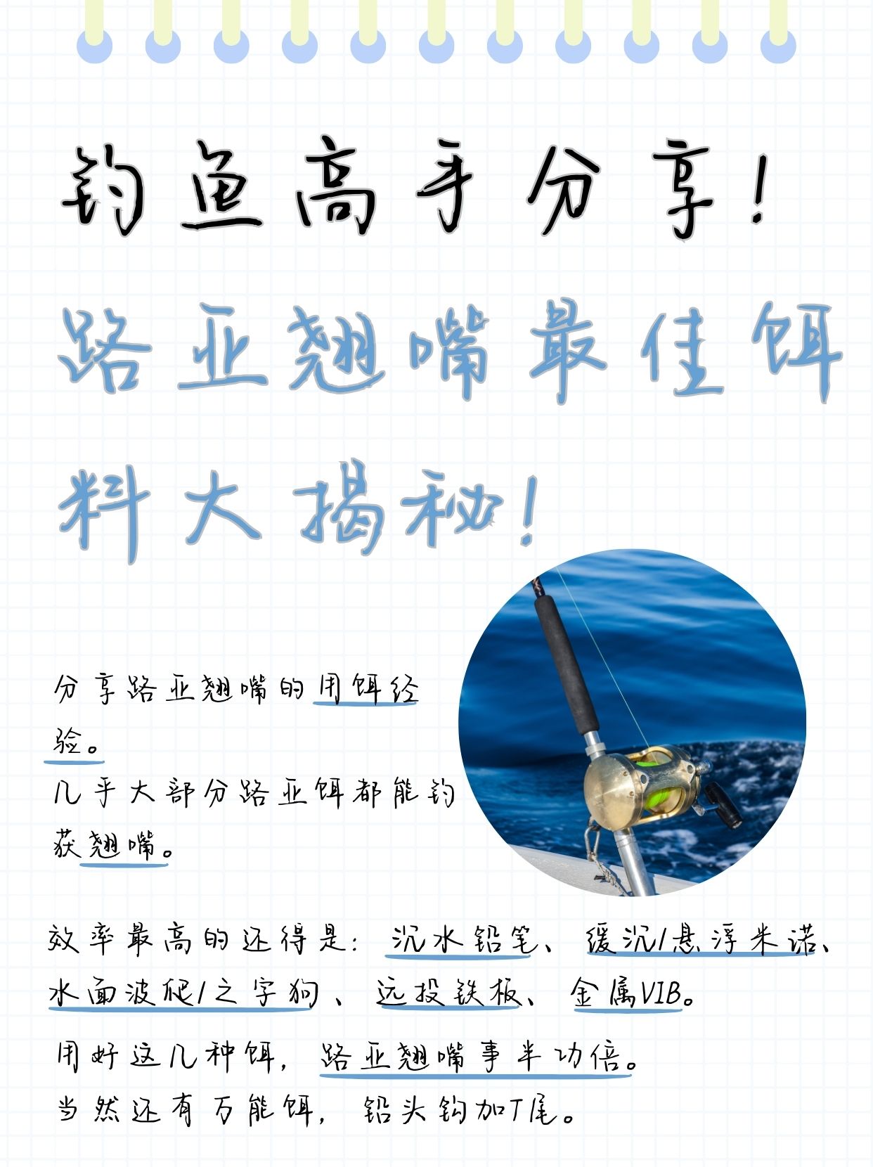 桥钓技巧饵料用什么好(桥钓怎么使用)