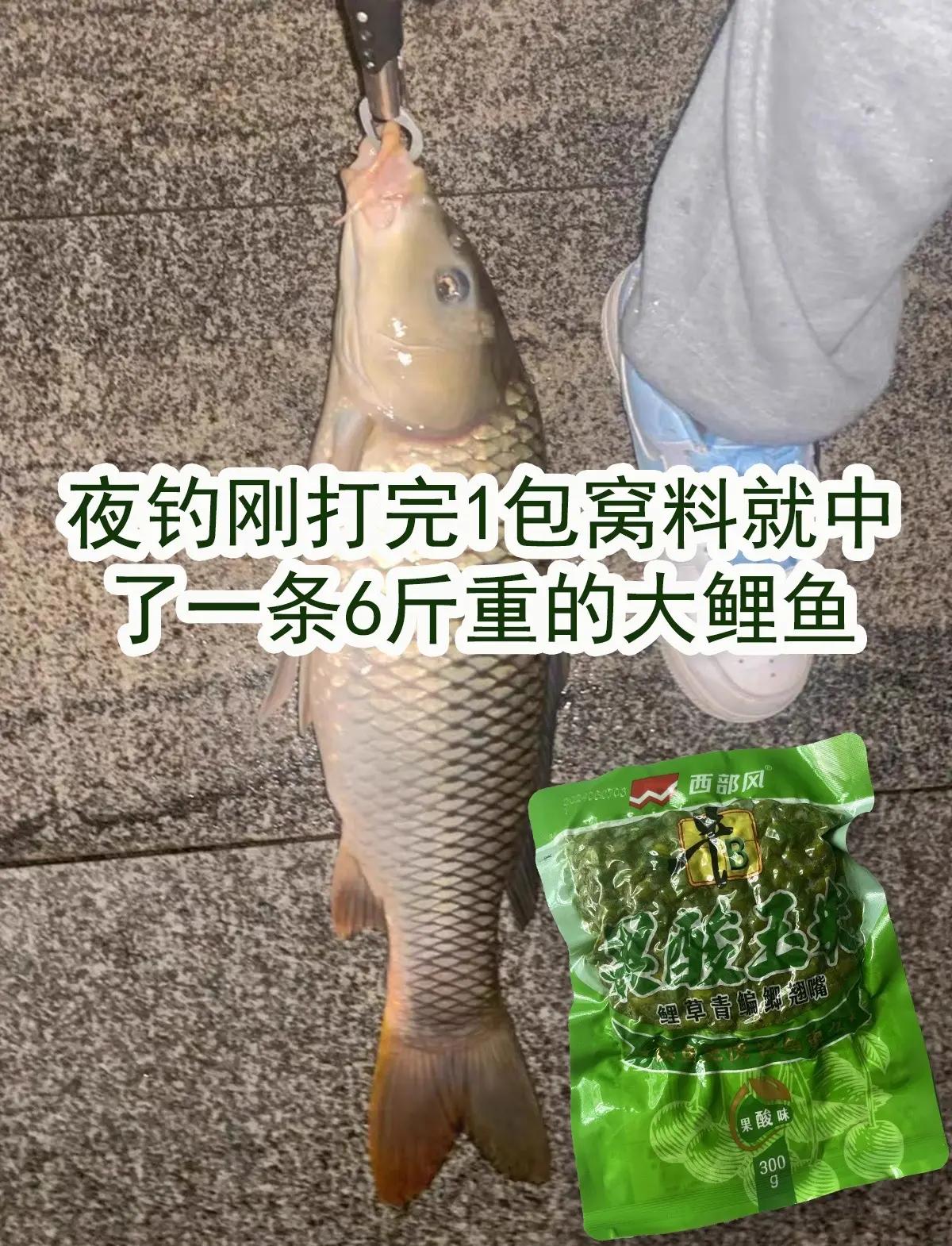玉米饵料钓什么鱼(玉米饵料配方 野钓)