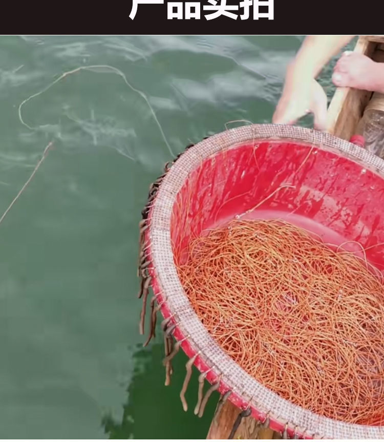 海钓船自动排钩钓(海上自动放排钓视频)