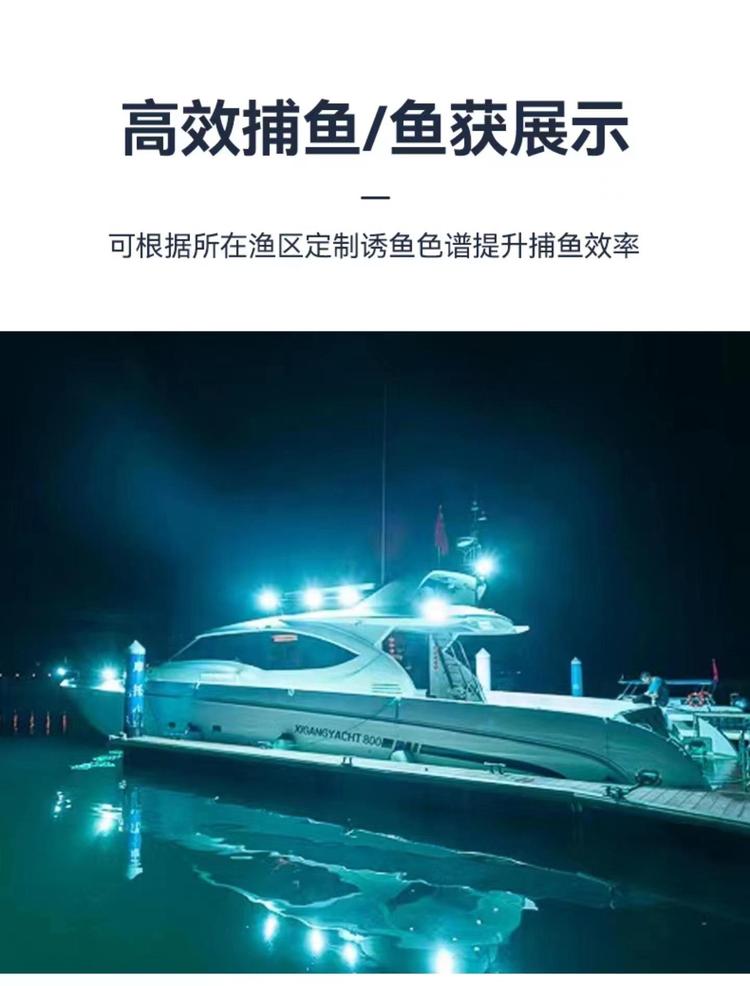 海钓小灯怎么用(海钓灯光诱鱼技巧)