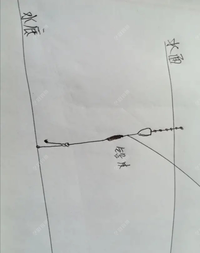 秋季钓鲫鱼走水调漂技巧(秋季钓鲫鱼走水调漂技巧和方法)