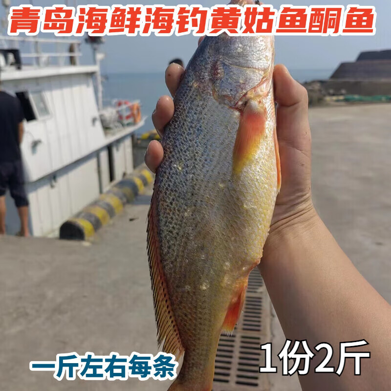 鱼船海钓(鱼船海钓为什么不用鱼护装鱼钩)