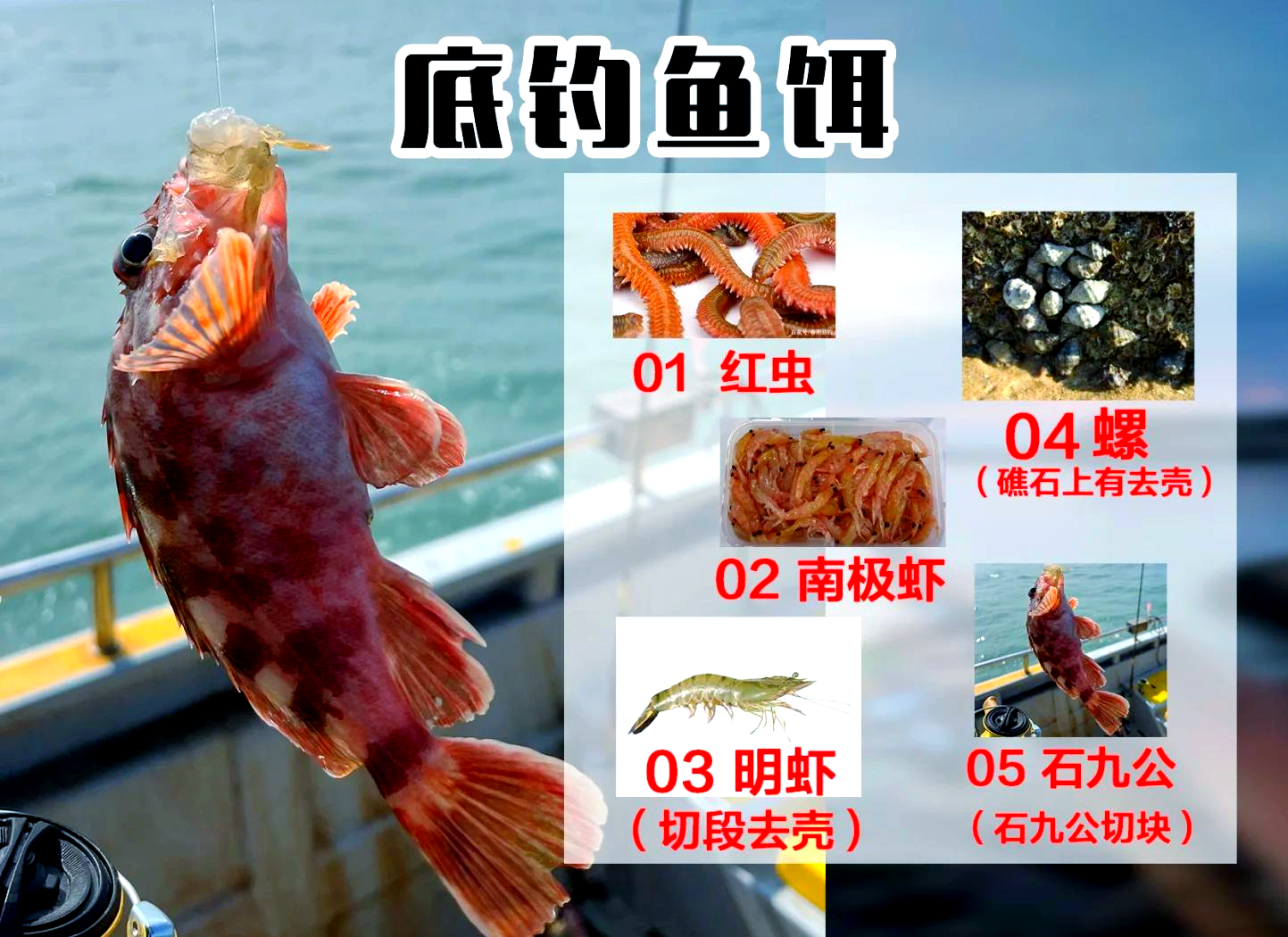 岸抛海钓钓组(海钓岸抛竿用几号线)