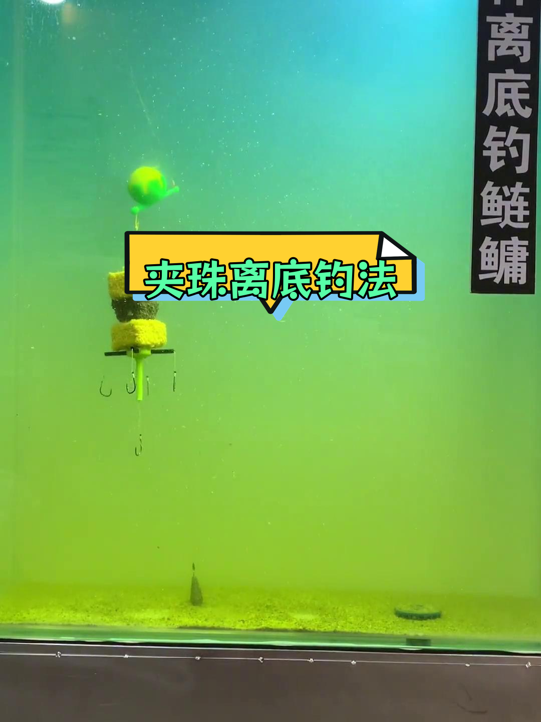 底钓鲢鳙技巧(底钓鲢鳙用什么饵料)
