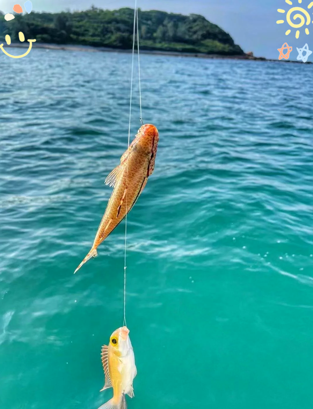 海钓技巧海蜈蚣(海蜈蚣可以钓哪些海鱼)