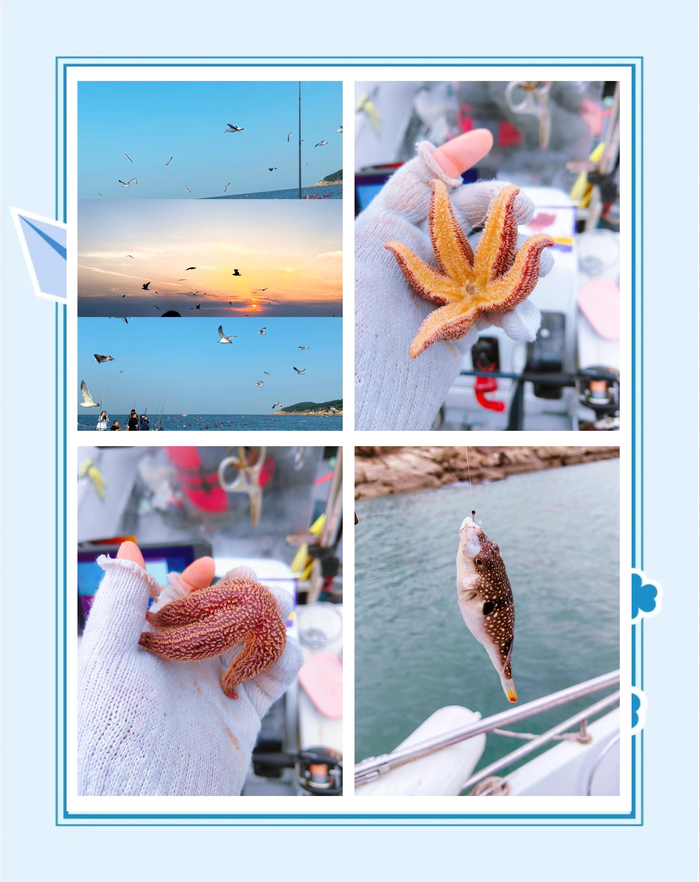海沧哪里可以海钓(海沧钓点)