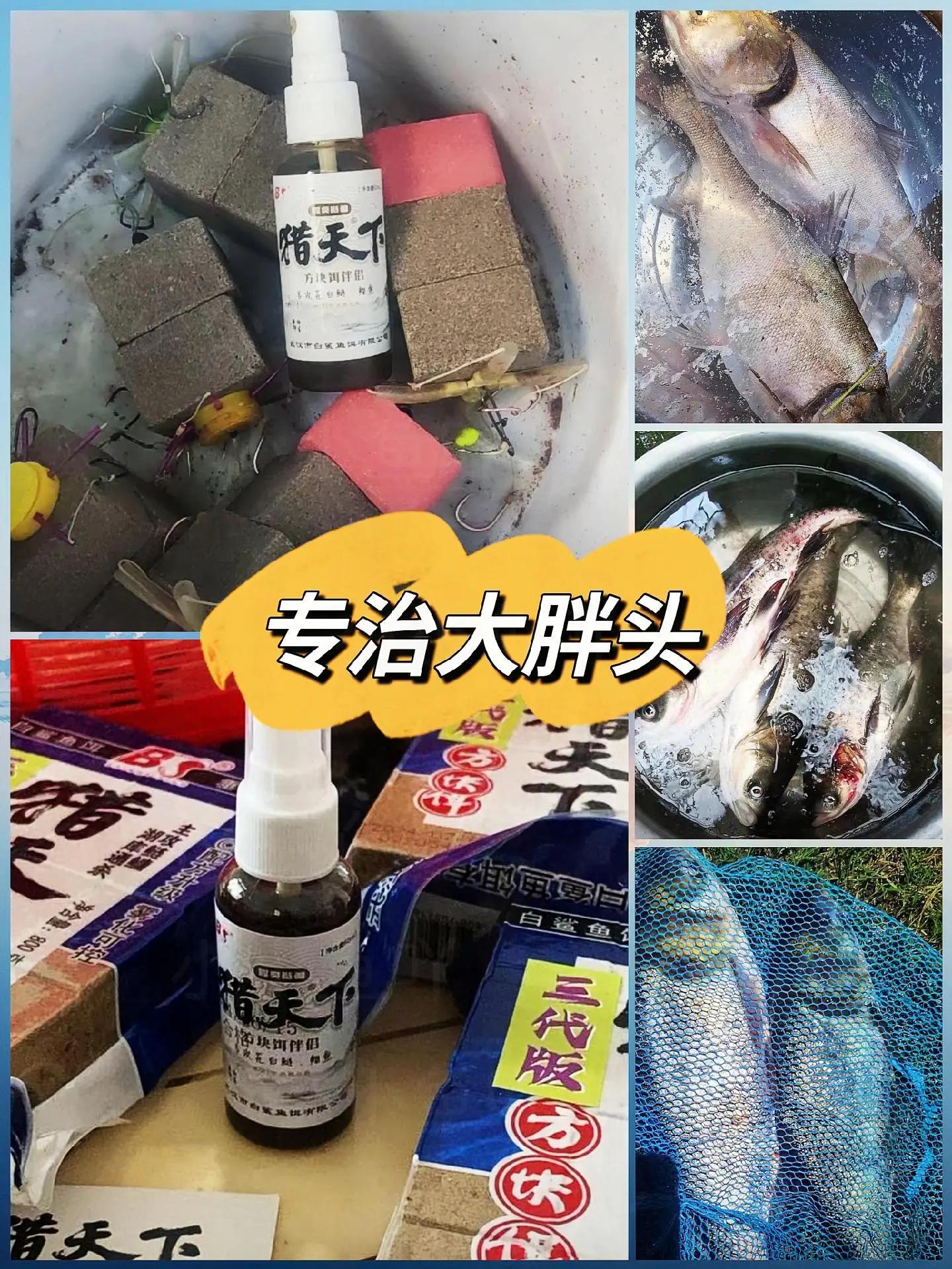 钓鳙商品饵料配方(钓鳙商品饵料配方视频)
