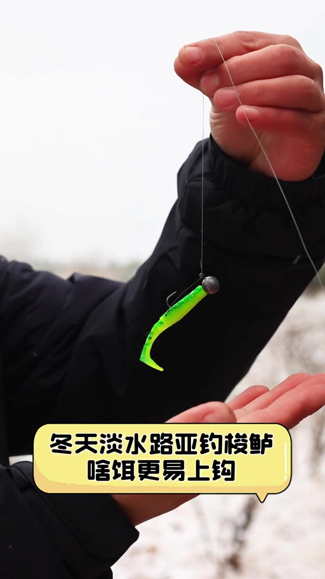 路亚梭鱼视频教学(路亚梭鱼 视频)