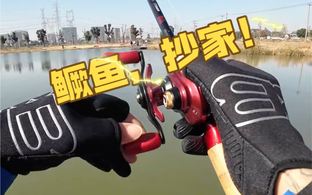 上海逍遥路亚(上海市区路亚)