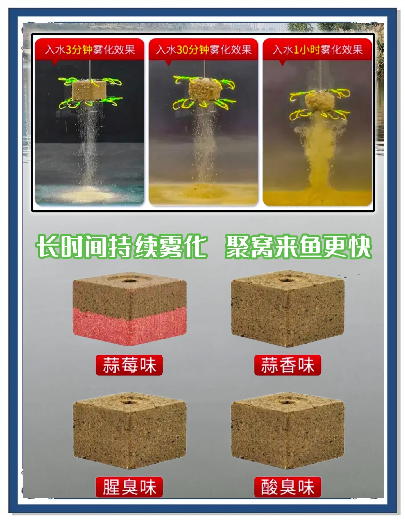 白鲨饵料如何(白鲨吃什么饲料啊)