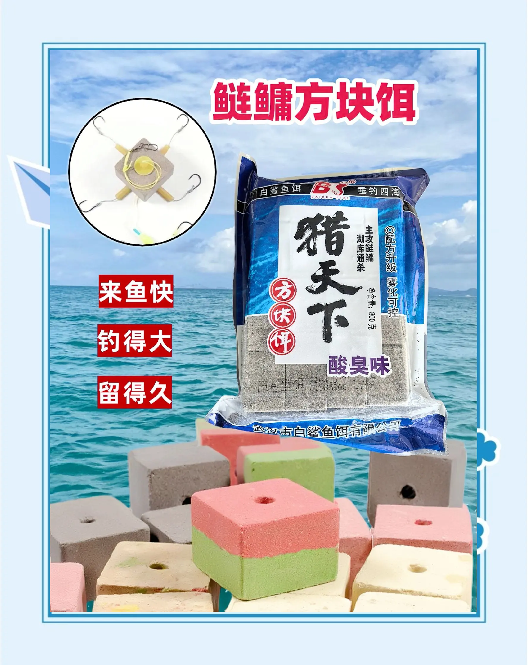 白鲨饵料如何(白鲨吃什么饲料啊)