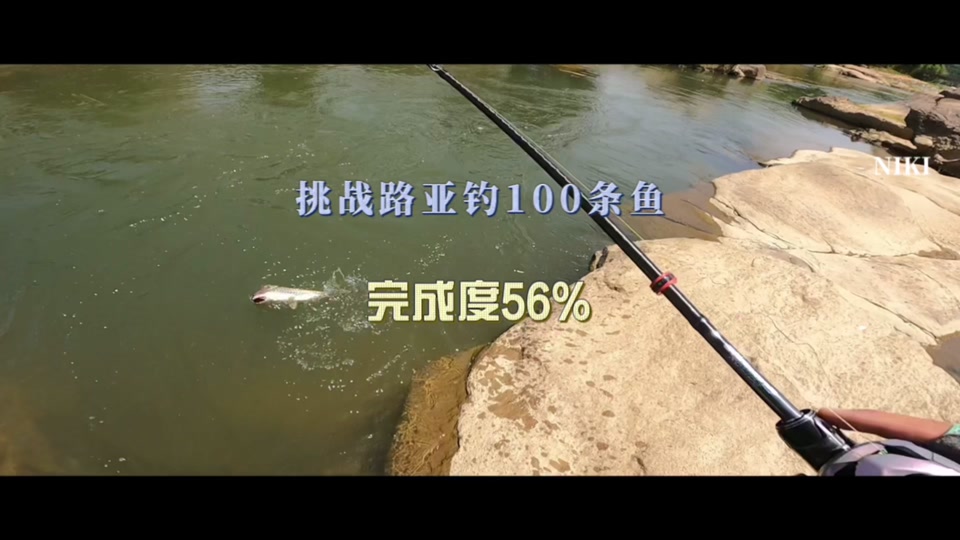 路亚钓军鱼技巧(路亚钓军鱼技术教程)