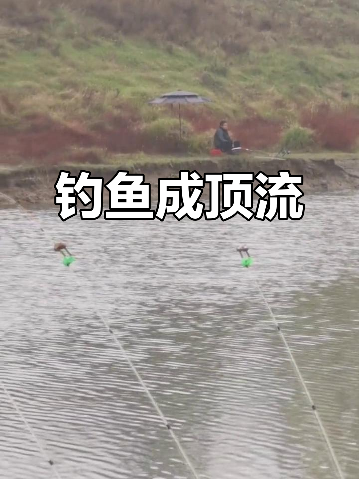夏季野河白天钓鱼技巧(夏天野钓白天好还是晚上好)