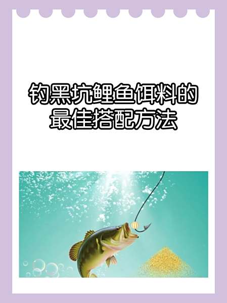 早春黑坑鲤鱼技巧(早春钓黑坑)
