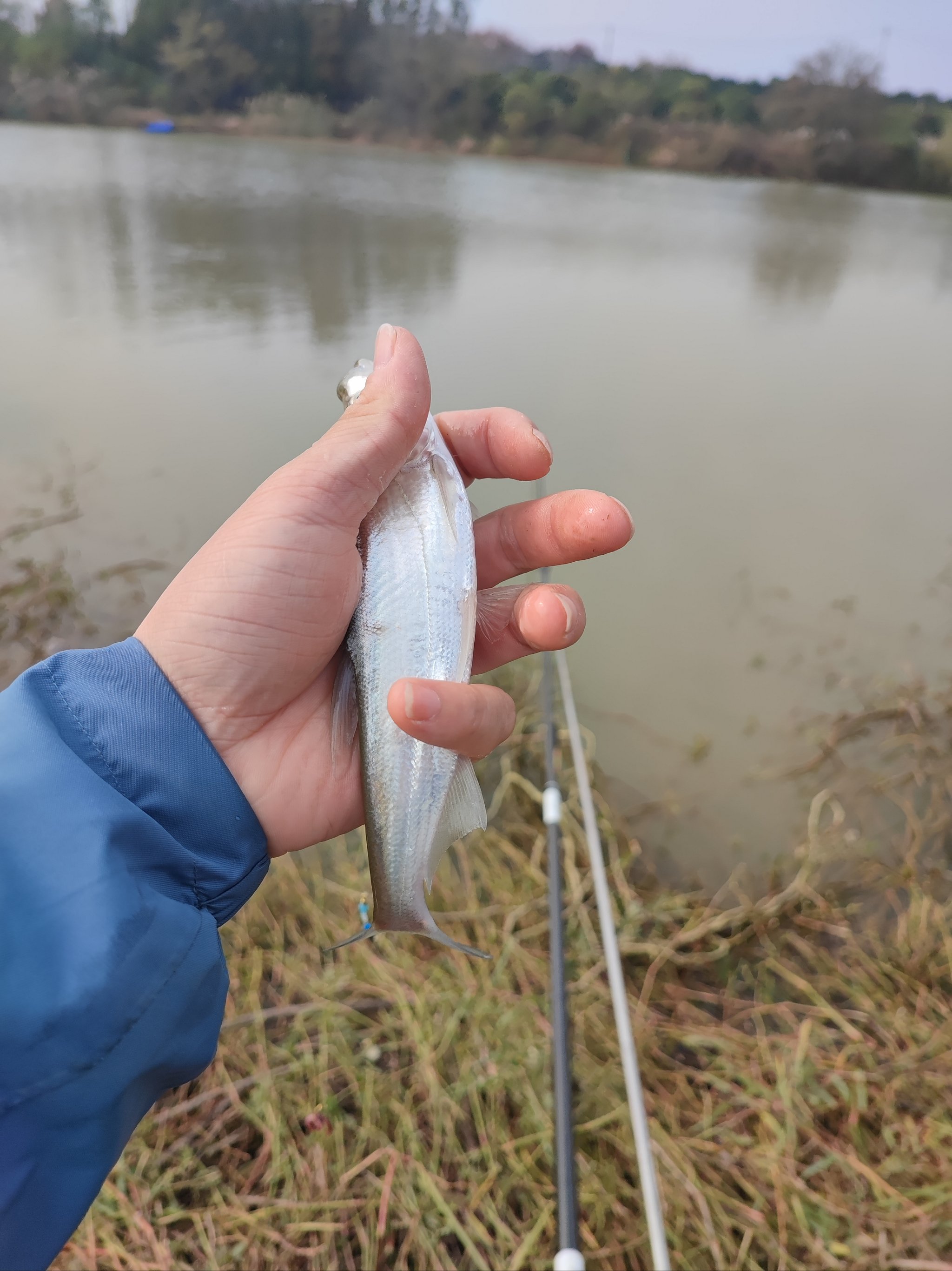 闻溪河路亚(上海野河路亚钓点)